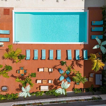 Samawa Living Hotel ปาเยอ ภายนอก รูปภาพ